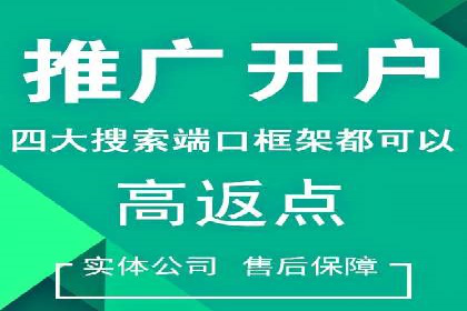 百度SEO推广公司案例分享：行业佼佼者经验