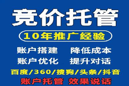 电商行业SEM运营的挑战与成功案例